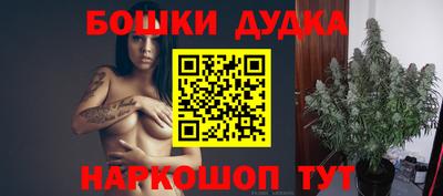 apvp Ачхой-Мартан