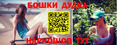 apvp Ачхой-Мартан