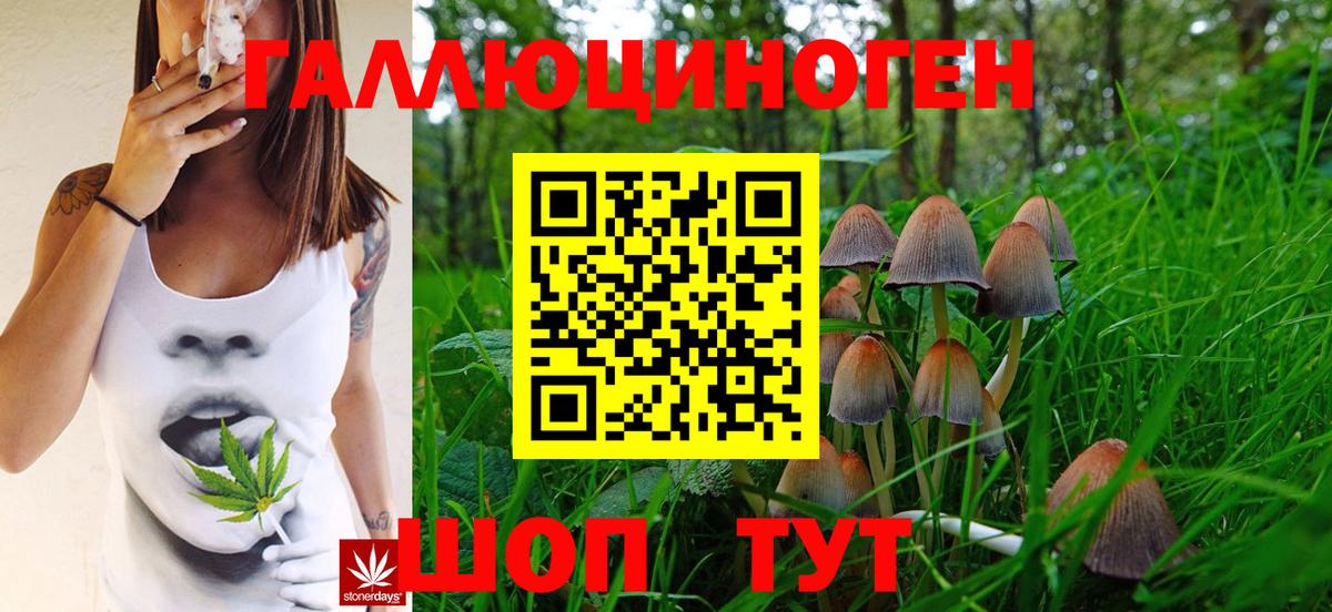 Дербент  Галлюциногенные грибы Psilocybe  Вход с VPN  купить наркотик  Галлюциногенные грибы прущие грибы 